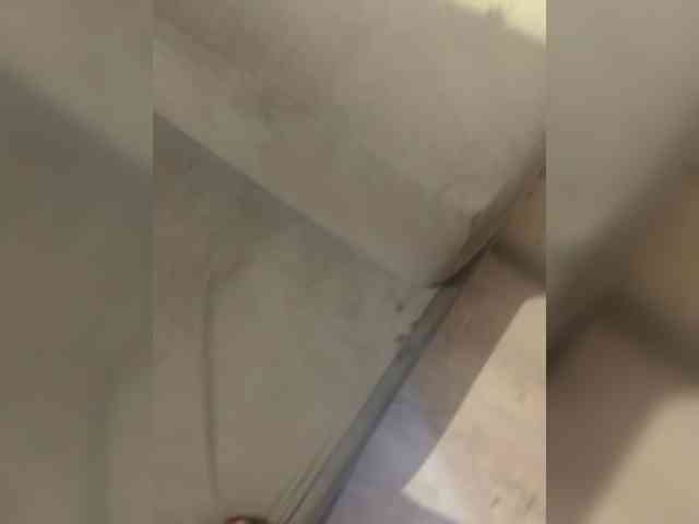 Fasss8888 webcam