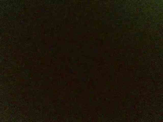 Yana3100 webcam