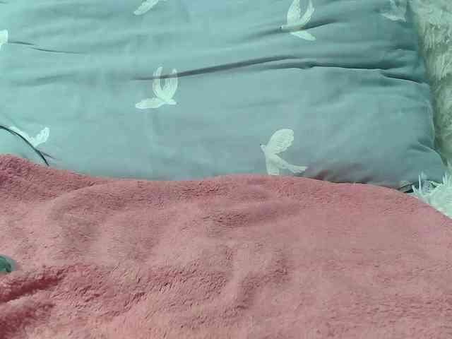 Yana3100 webcam