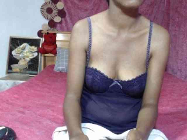 Hamour webcam
