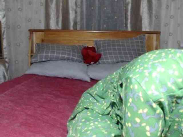 Hamour webcam