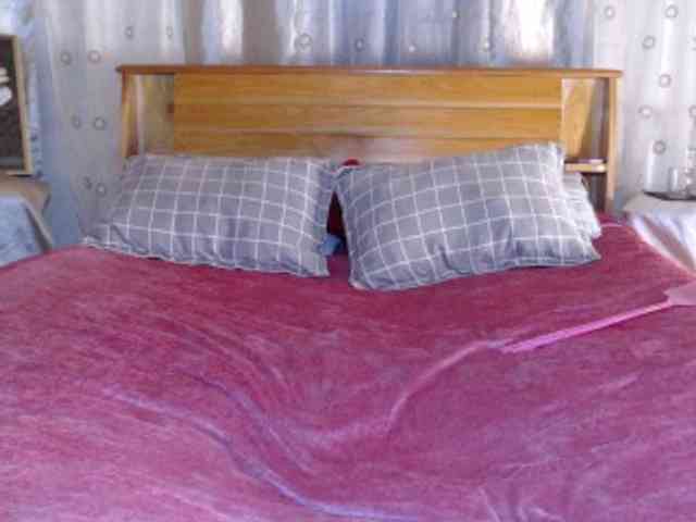 Hamour webcam