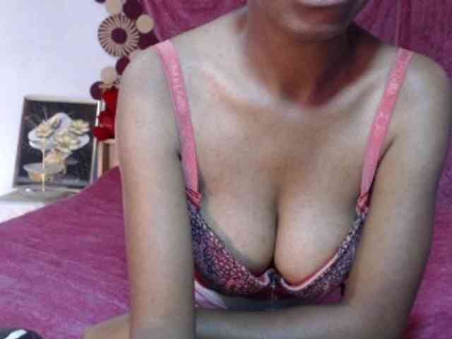 Hamour webcam