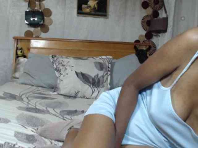 Hamour webcam