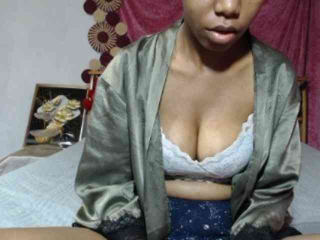 Hamour webcam