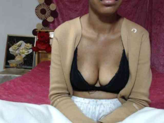 Hamour webcam