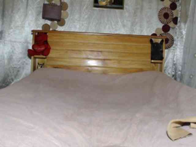 Hamour webcam