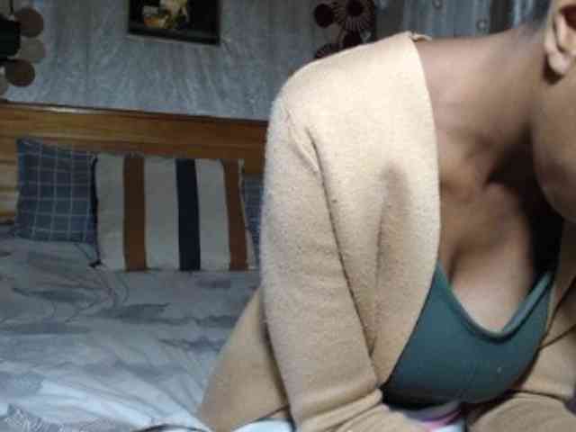 Hamour webcam