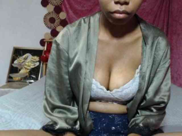Hamour webcam