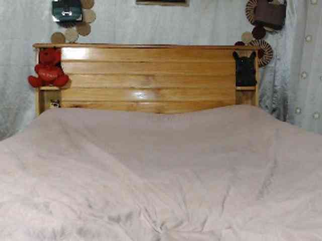 Hamour webcam