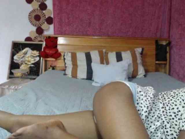 Hamour webcam