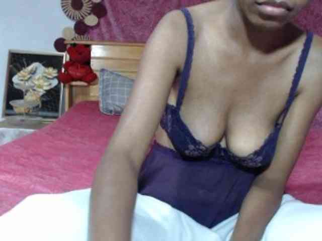 Hamour webcam