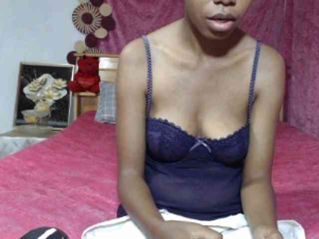 Hamour webcam
