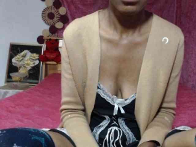 Hamour webcam