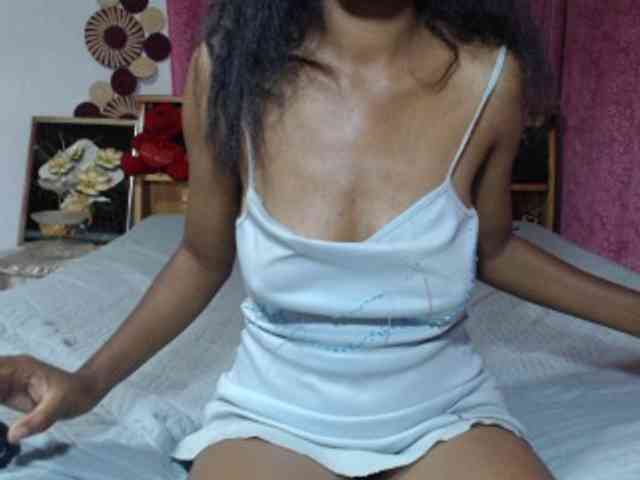 Hamour webcam