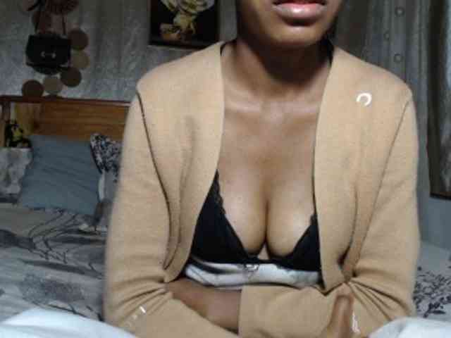 Hamour webcam