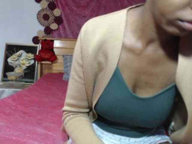 Hamour webcam