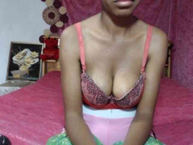 Hamour webcam