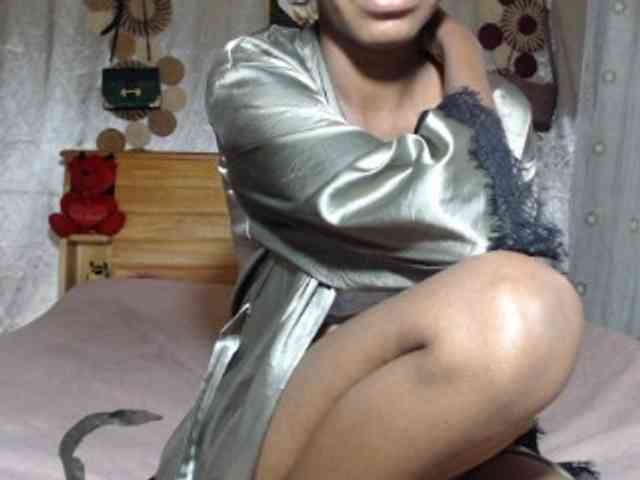Hamour webcam