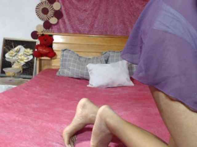 Hamour webcam