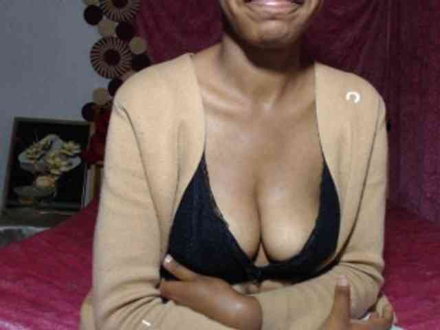 Hamour webcam