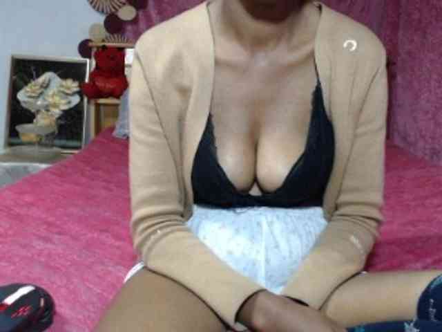 Hamour webcam