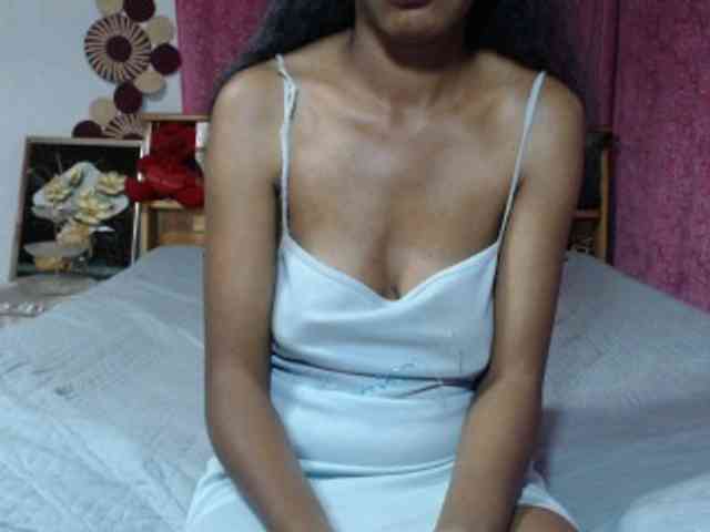 Hamour webcam