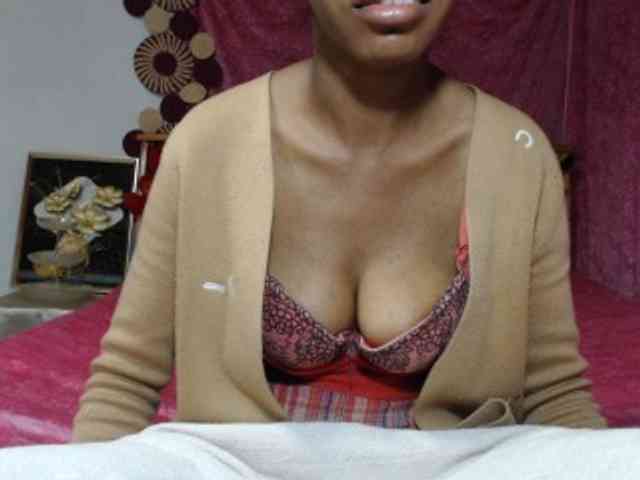 Hamour webcam