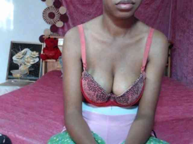 Hamour webcam
