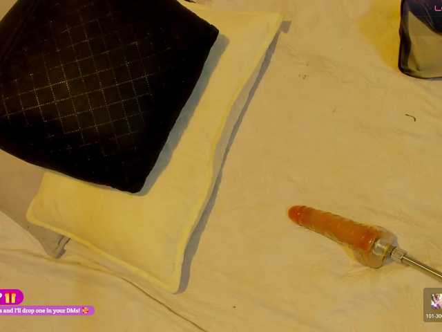 Heicel- live cam on BongaCams
