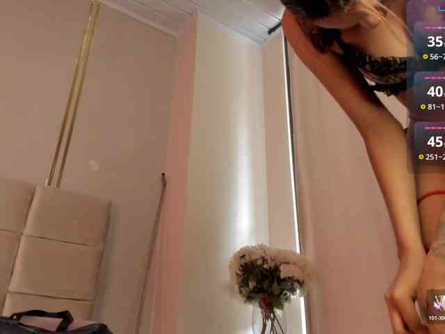 Heicel- webcam