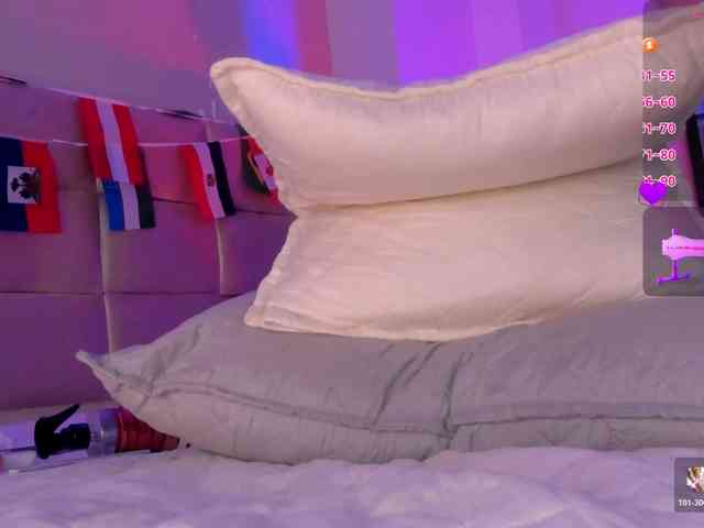 Heicel- webcam
