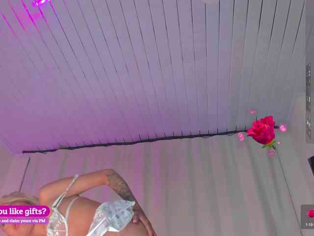 Heicel- webcam