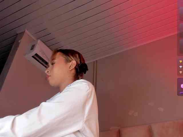 Heicel- webcam