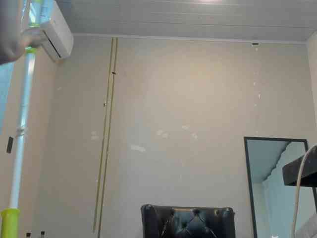 Heicel- webcam