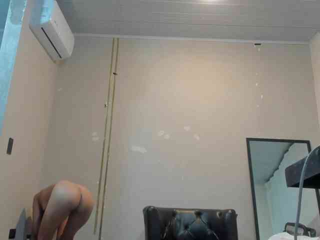 Heicel- webcam
