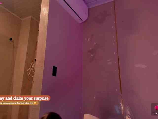 Heicel- webcam