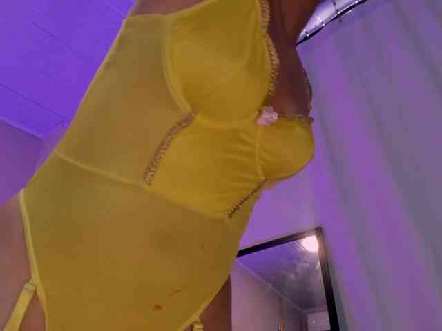Heicel- webcam