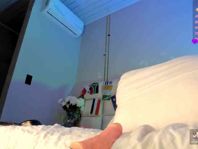 Heicel- webcam