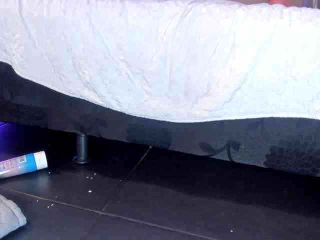 Heicel- webcam