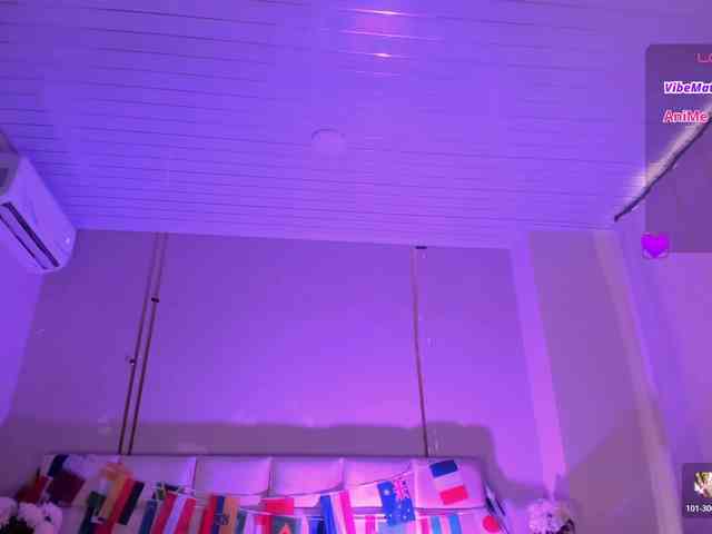 Heicel- webcam