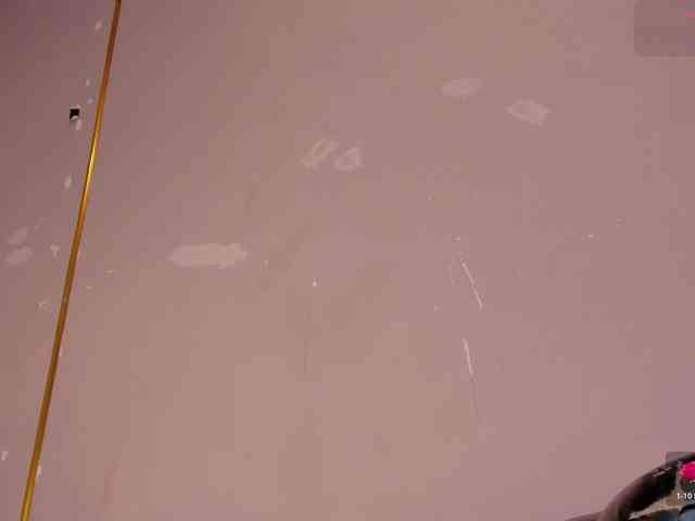 Heicel- webcam