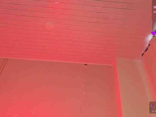 Heicel- webcam