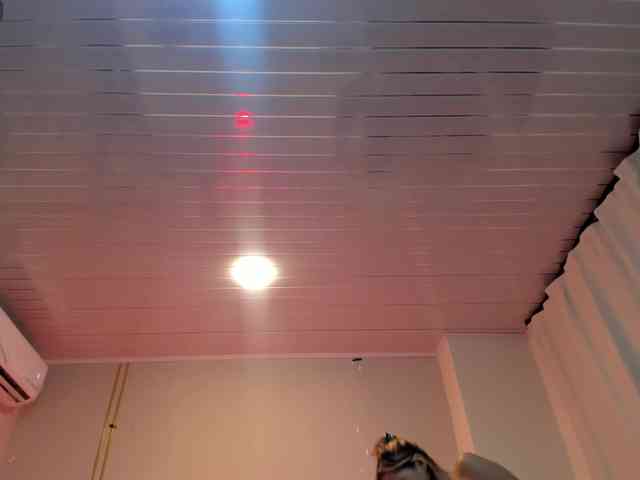 Heicel- webcam