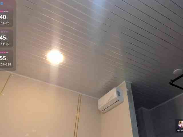 Heicel- webcam