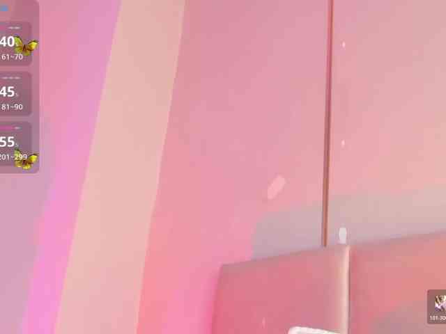 Heicel- webcam