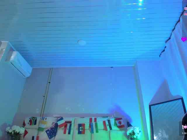 Heicel- webcam