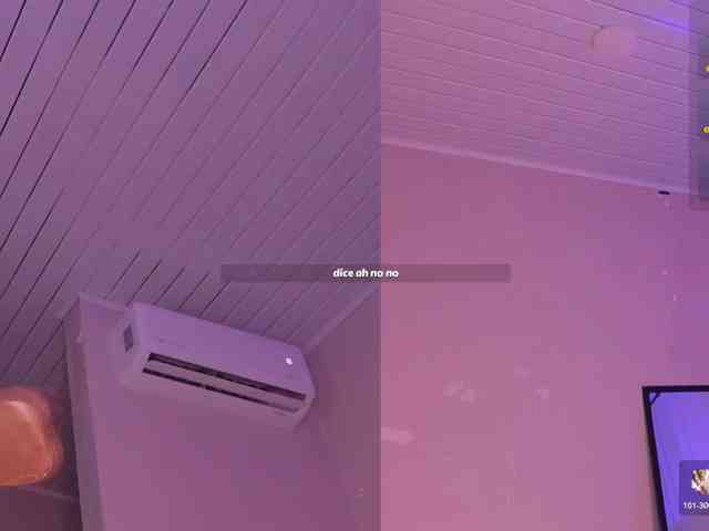 Heicel- webcam