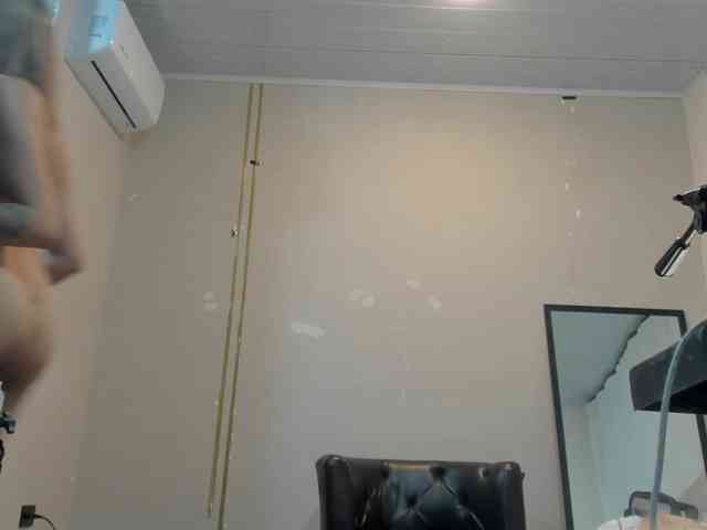Heicel- webcam