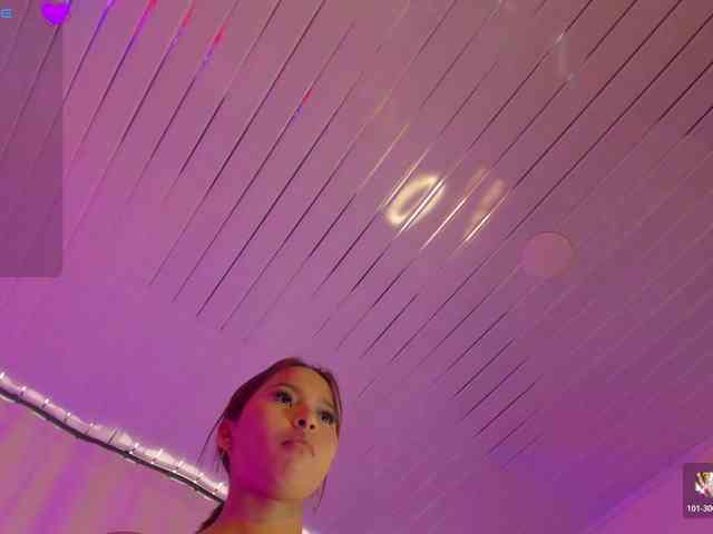 Heicel- webcam